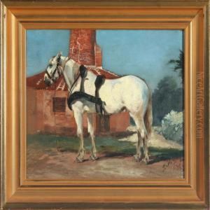 A Horse A Horse