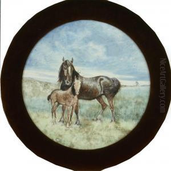 Two Horses On Field - view 1