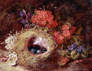 Still life of a bird's nest and blossom by Vincent Clare