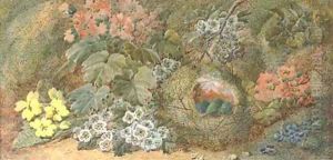 Primroses and a bird's nest on a mossy bank by Vincent Clare