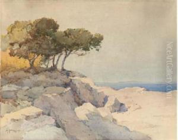 View From A Clifftop - view 1