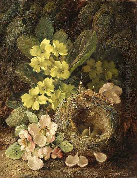 Primroses and bird's nest on a mossy bank - view 1
