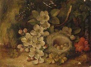 Apple blossom and a bird's nest with eggs, on a mossy bank by Vincent Clare
