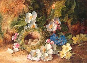 Apple Blossom, Primroses, a Bird's Nest with Eggs, on a mossy Bank by Vincent Clare