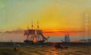 Marine Scene