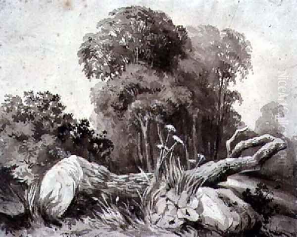 A Felled Tree - view 1