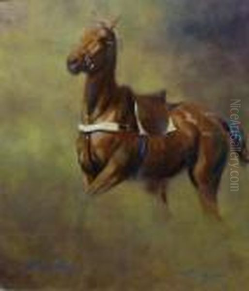Polo Pony - view 1