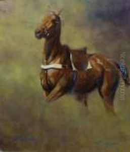 Polo Pony