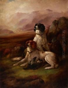 Hunting Dogs Hunting Dogs