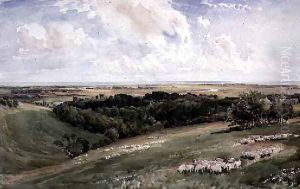 Arundel Park, Sussex by Thomas Collier