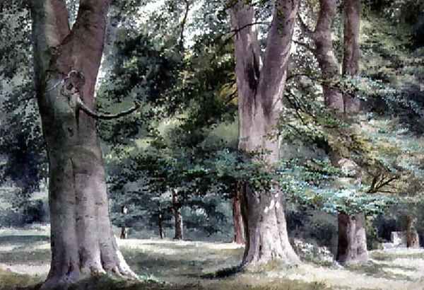 Study of Beech Trees - view 1