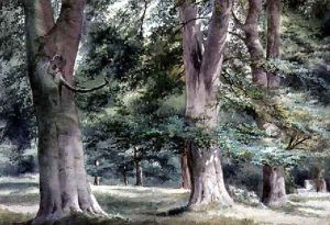 Study of Beech Trees by Thomas Collier