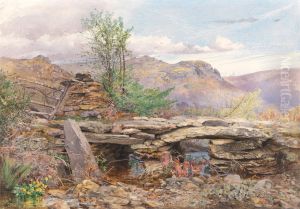 Pentre Ddu Bridge, North Wales by Thomas Collier