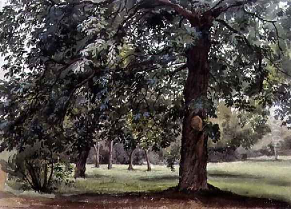 Landscape with Chestnut Tree in the Foreground - view 1