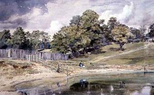Pond at Hampstead