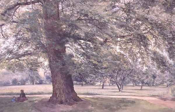 Study of an Elm Tree - view 1