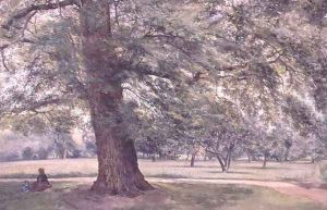 Study of an Elm Tree by Thomas Collier