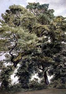 Study of Trees by Thomas Collier