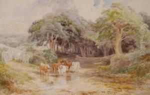 Untitled by Edward Hargitt