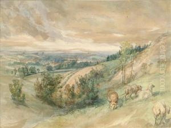 Landscape With Foreground Sheep - view 1