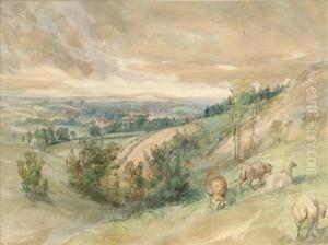 Landscape With Foreground Sheep by Edward Hargitt