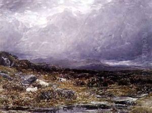 On the Siabod Flats, North Wales