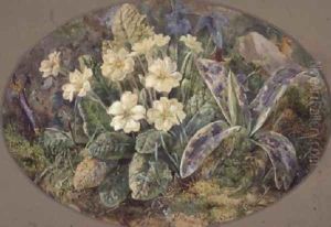Primrose and Orchid by Thomas Collier