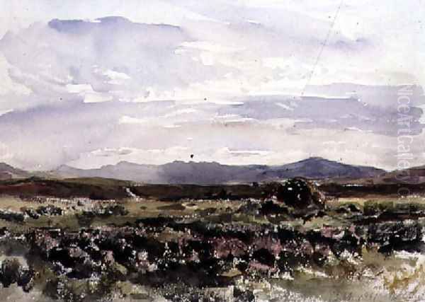 On the Hills, Dolwyddelan, North Wales - view 1