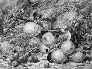 A Still Life Of Apples by Thomas Collier