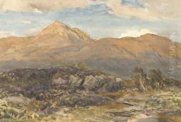 A view of Glen Dochart, Perthshire - view 1