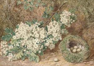 Still life of apple blossom and a bird's nest on a mossy bank by Thomas Collier