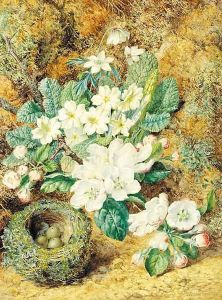 Still-life of a bird's nest with apple blossom, primulas and anemonies