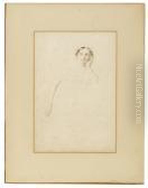 Portrait Of A Lady - view 1