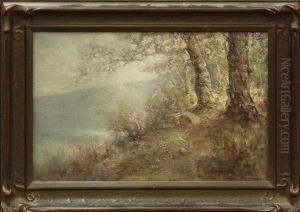 Sonoma Oaks by Charles Henry Harmon