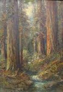 A Creek In The Redwoods by Charles Henry Harmon