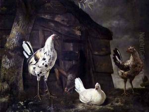 Poultry