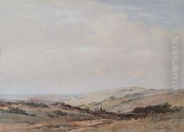 On The Downs - view 1