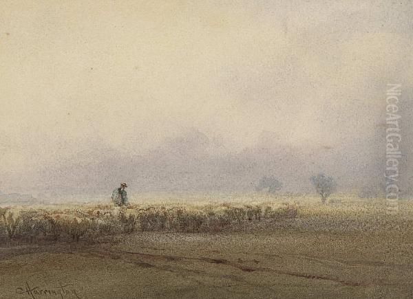 Evening Mist On Sussex Downs - view 1