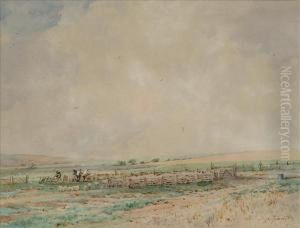 The Sheep Fold by Charles Harrington