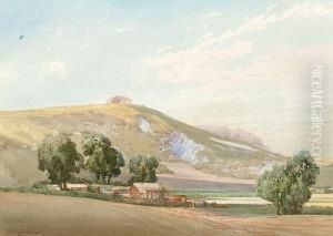 The South Downs