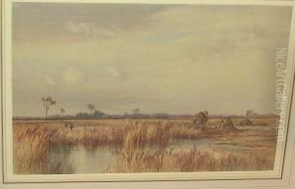 Reed Cutters - view 1