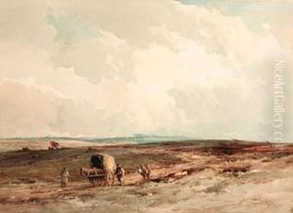 On Ashdown Forest Reserve - view 1