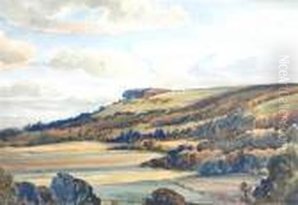 Chanctonbury From Washington - view 1