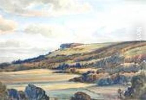 Chanctonbury From Washington