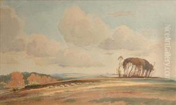 Sheep On The Downs - view 1