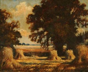 Cornfields