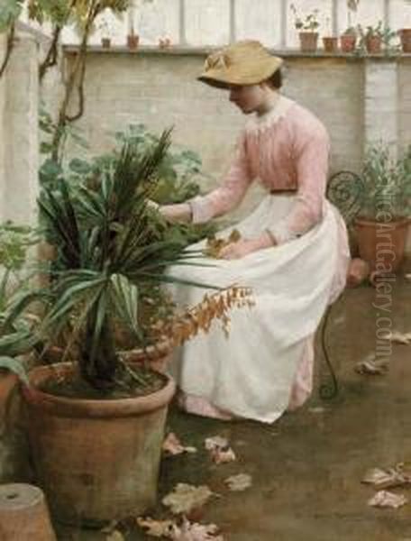 In The Greenhouse - view 1