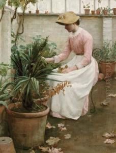In The Greenhouse
