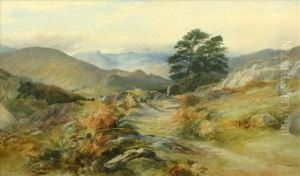 Figure On A Rockypath, North Wales by Henry Harris