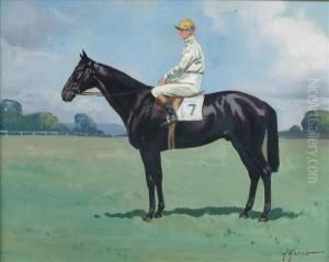 A Black Racehorse With Jockey Up
